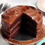 Three-layer moist chocolate cake with rich frosting on stand